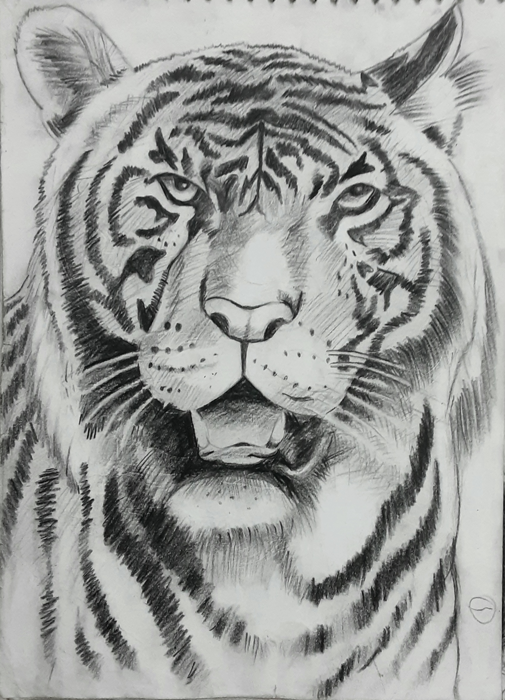 drawing 1